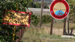 guardamar-2506-02.jpg (316051 bytes)