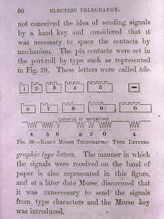 4902.jpg (4444029 bytes)